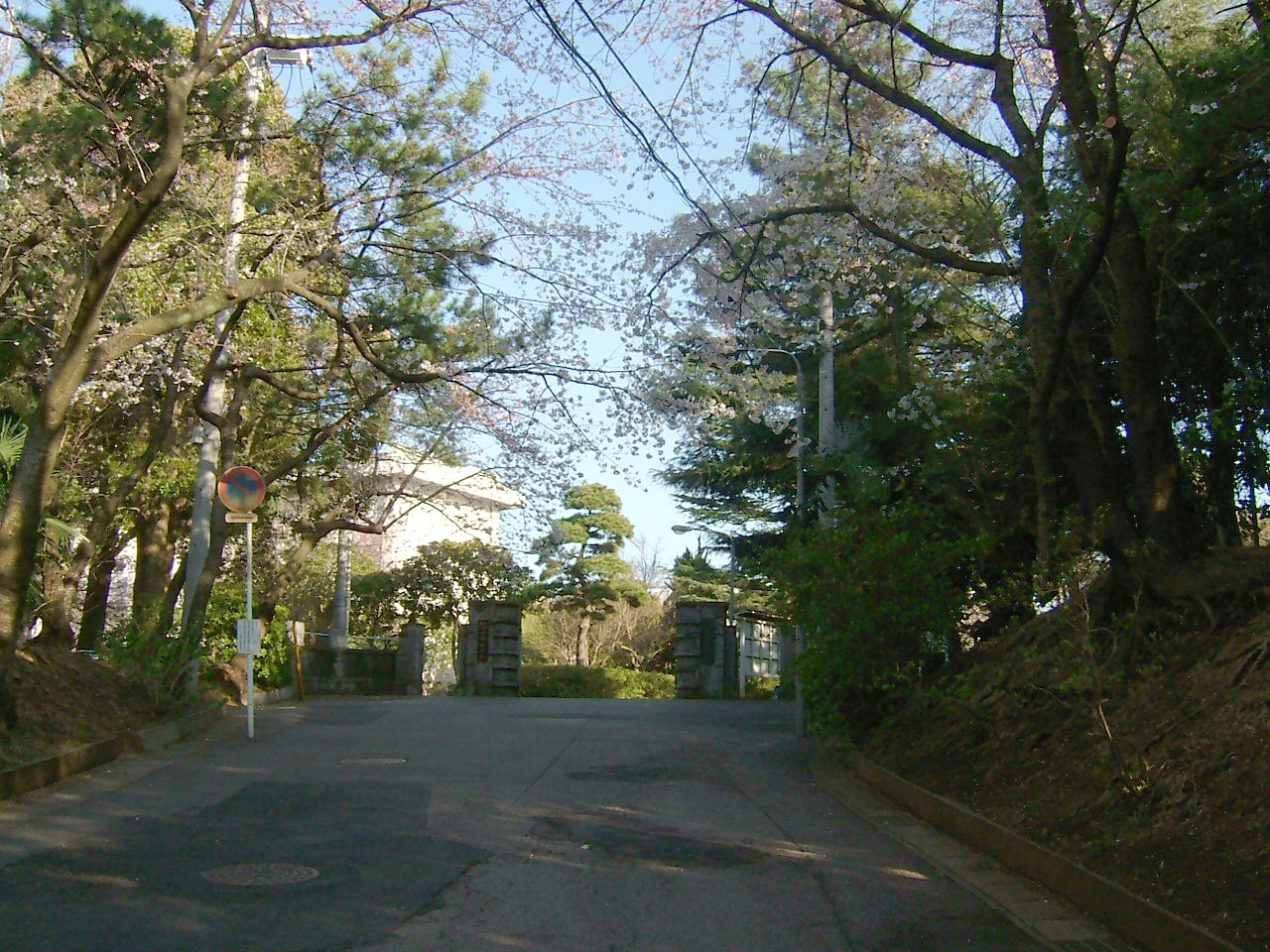 坂道を校門に向かって登る