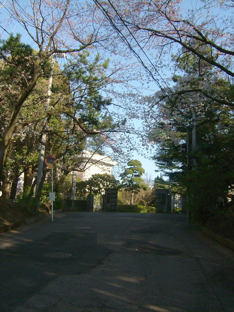 坂道を校門に向かって登る