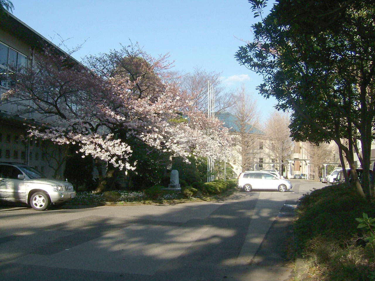 校門から入ると左に図書館、その奥に講堂