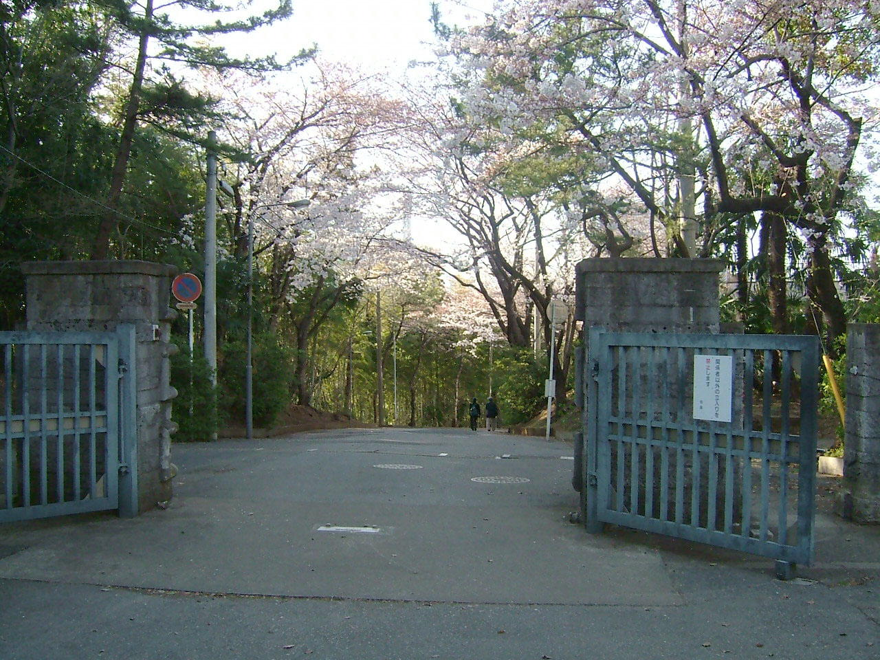 校門をから坂道を見る