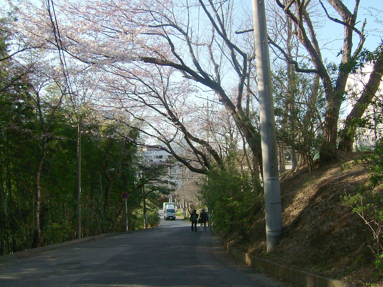 通い慣れた坂道